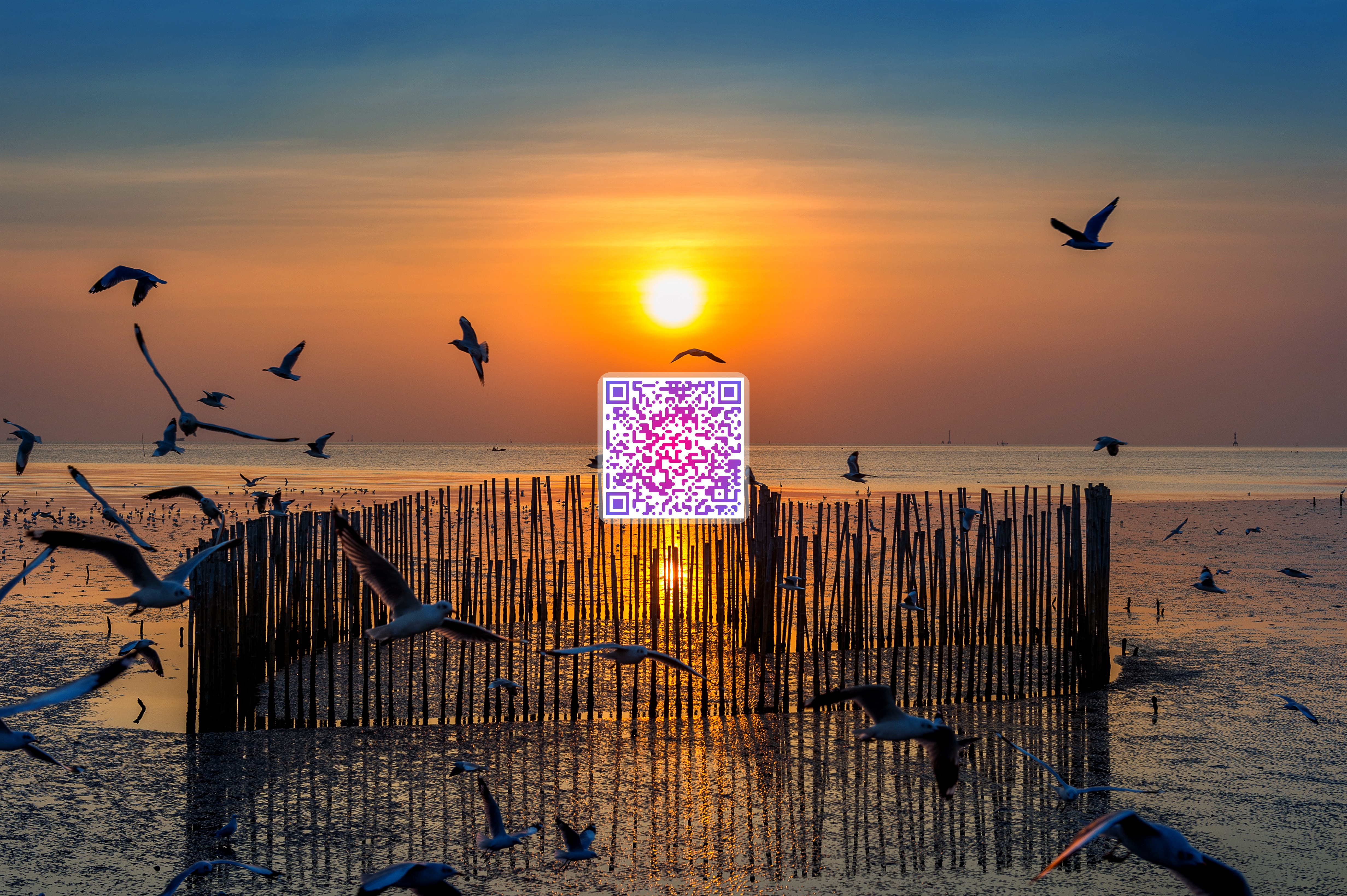 5161ab9f-0430-401f-b89b-92a199cb5a3b